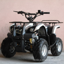 110CC ATV Quads com Front &amp; Back Strong Shelf (ET-ATV004)